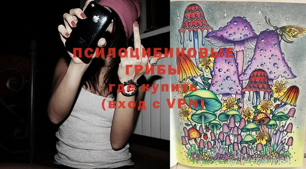 марки lsd Алексеевка