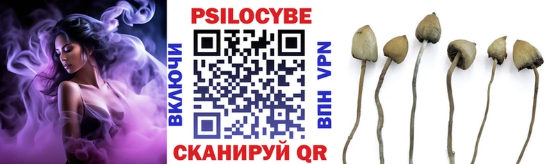 Псилоцибиновые грибы мицелий  где можно купить   Томмот 